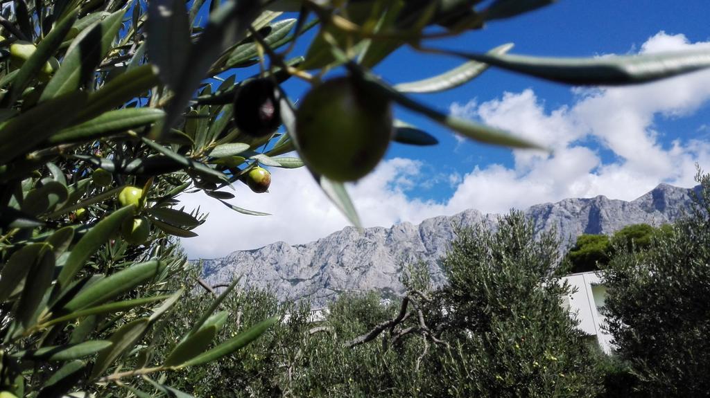 Apartmani Sabic A6 Makarska Zewnętrze zdjęcie